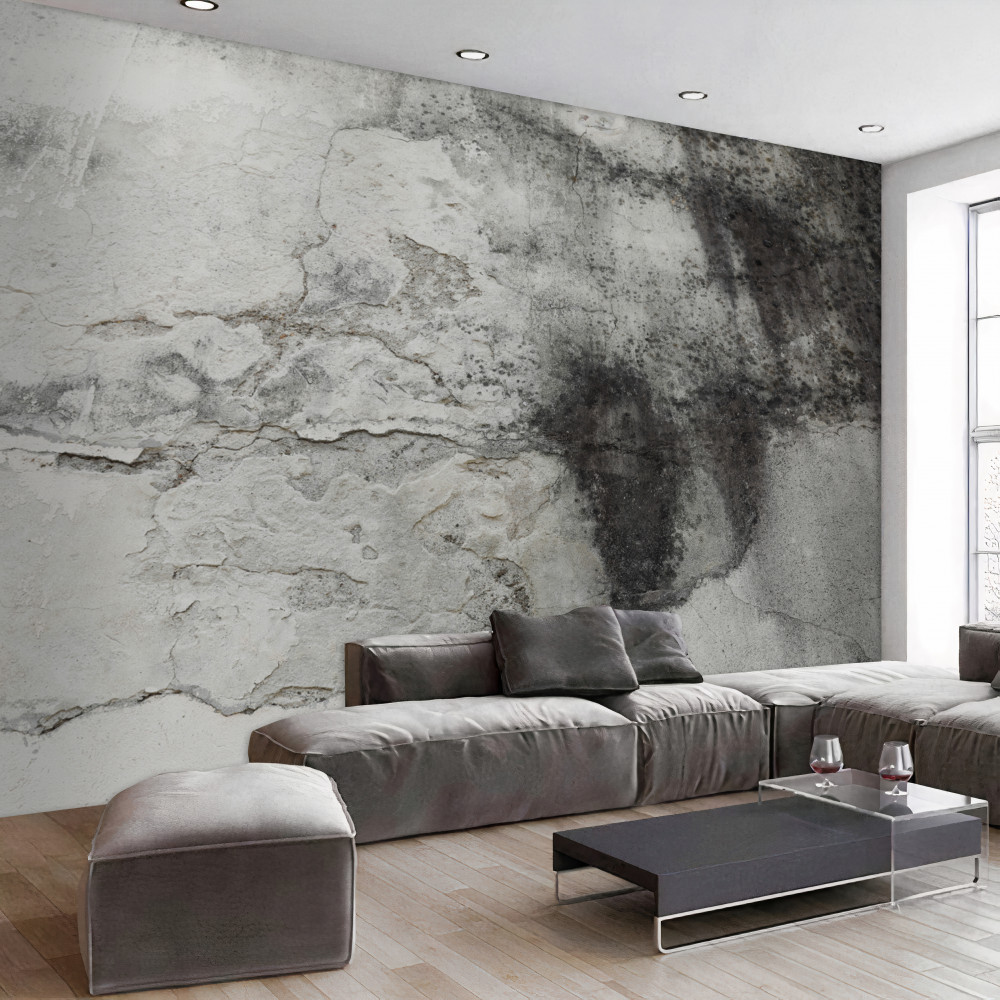 Fototapeta tekstura szarego błota