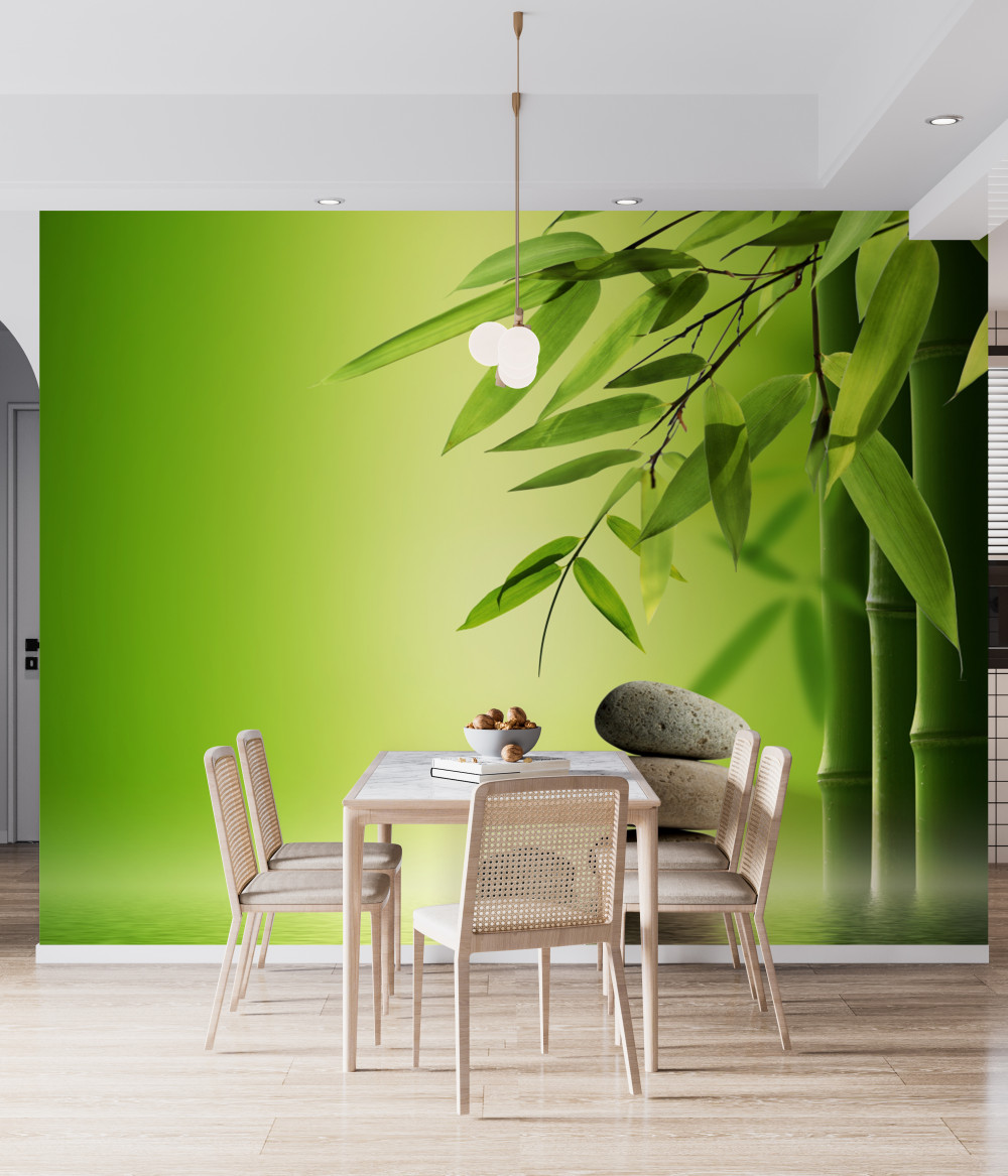 Fototapeta zielony bambus i kamienie spa