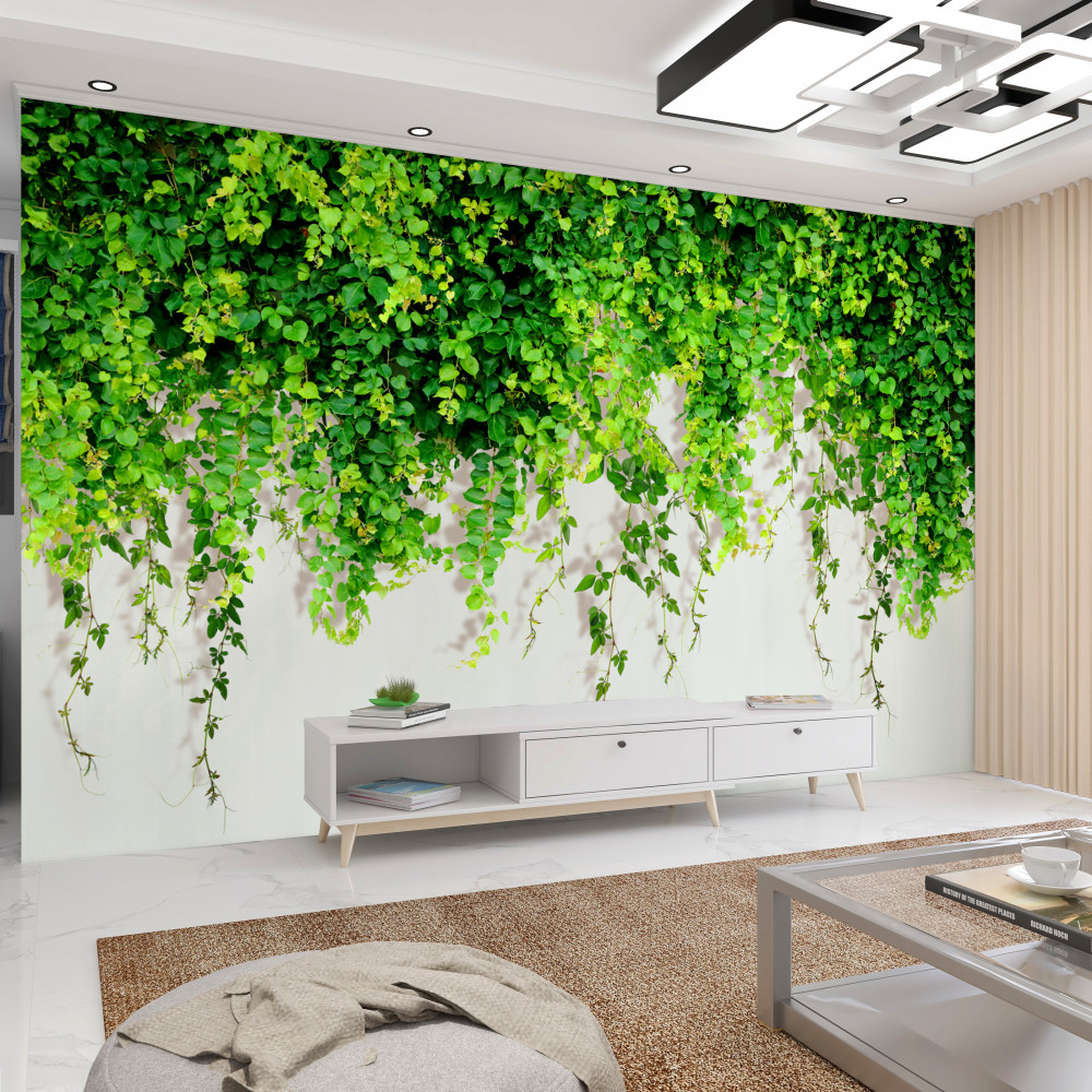 Fototapeta jasnozielone rośliny wiszące