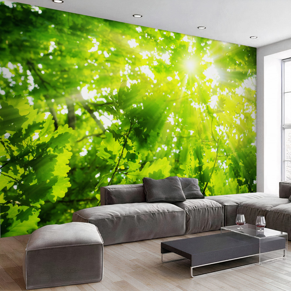 Fototapeta jasne promienie słońca w zielonym lesie