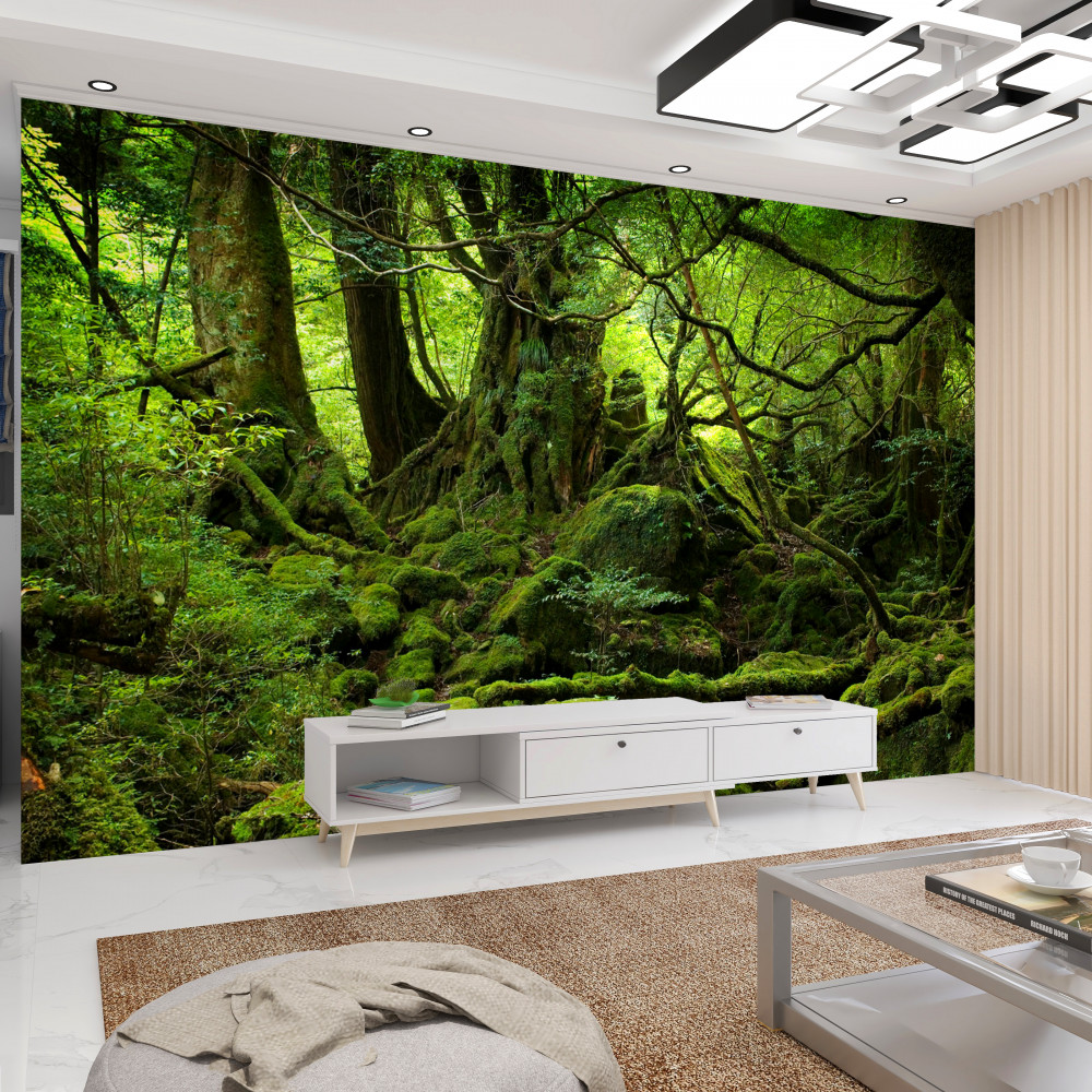 Fototapeta gęsty zielony las