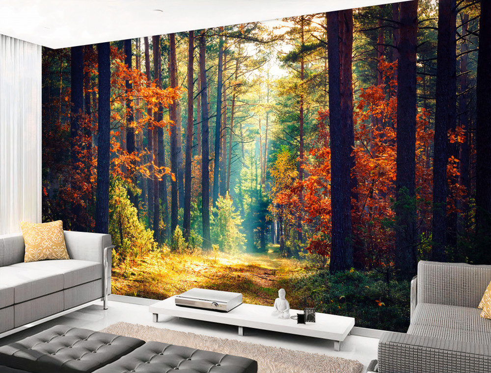 Fototapeta słońce w jesiennym lesie