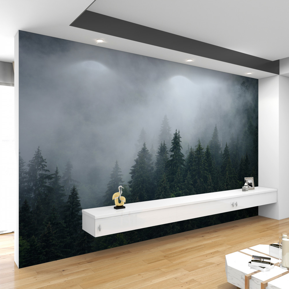 Fototapeta mgła pojawia się w lesie iglastym