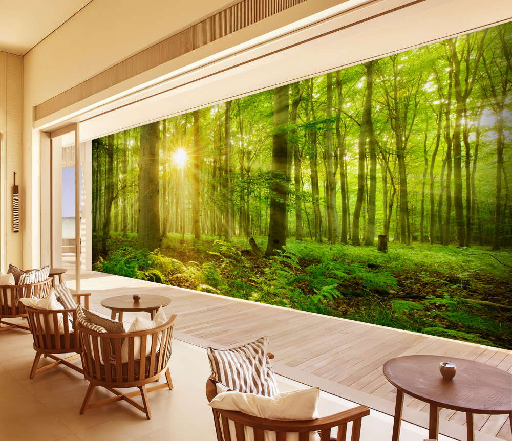 Fototapeta słońce budzi nocny las