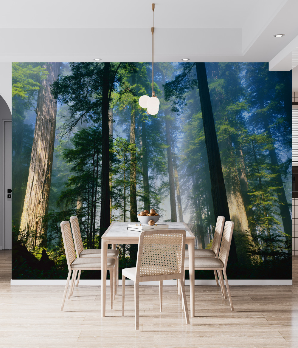 Fototapeta lekka mgła wśród smukłych drzew w lesie