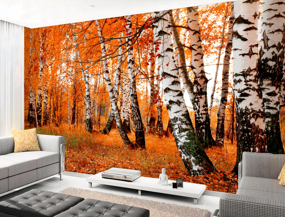 Fototapeta liście pomarańczy na brzozie