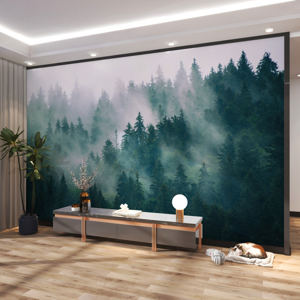 Fototapeta poranek w mglistym lesie sosnowym