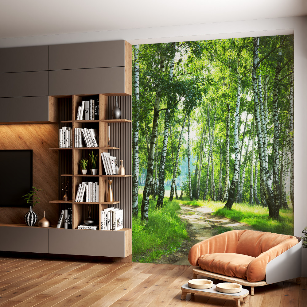 Fototapeta ścieżka brzozowa w letni dzień