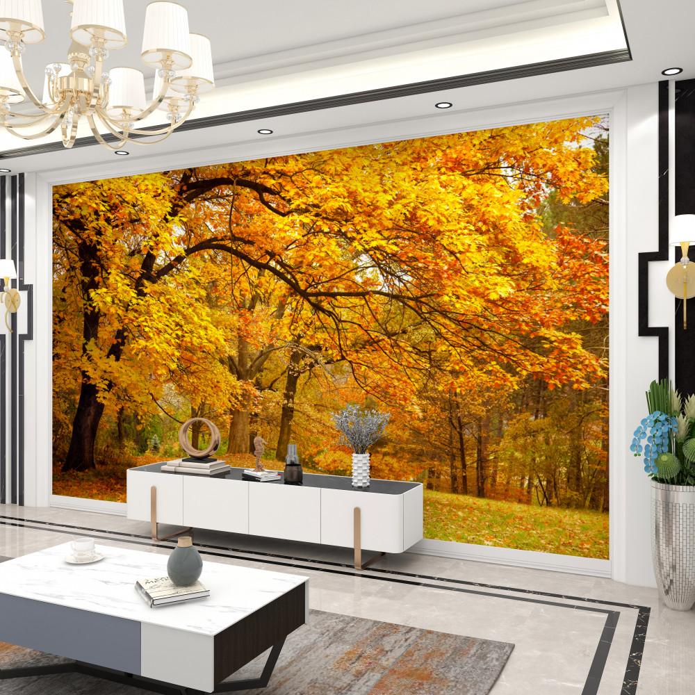 Fototapeta do lasu zawitała żółta jesień