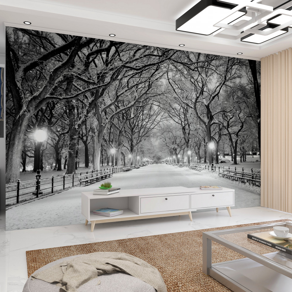 Fototapeta zimowa ścieżka wśród drzew