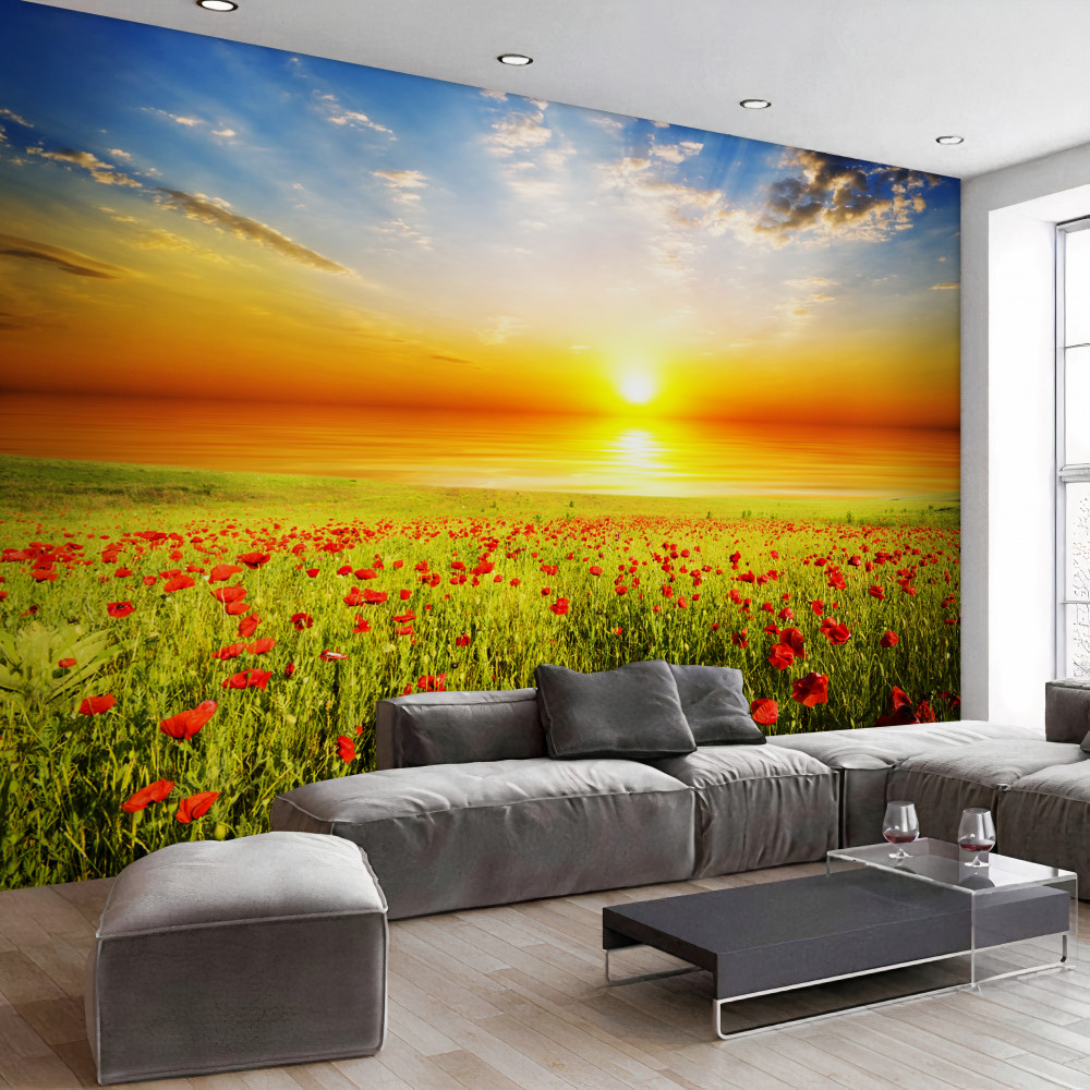 Fototapeta jasny letni zachód słońca na łące z makami