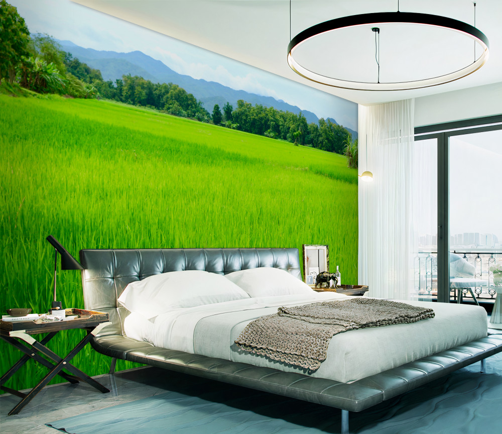 Fototapeta zielona górska łąka