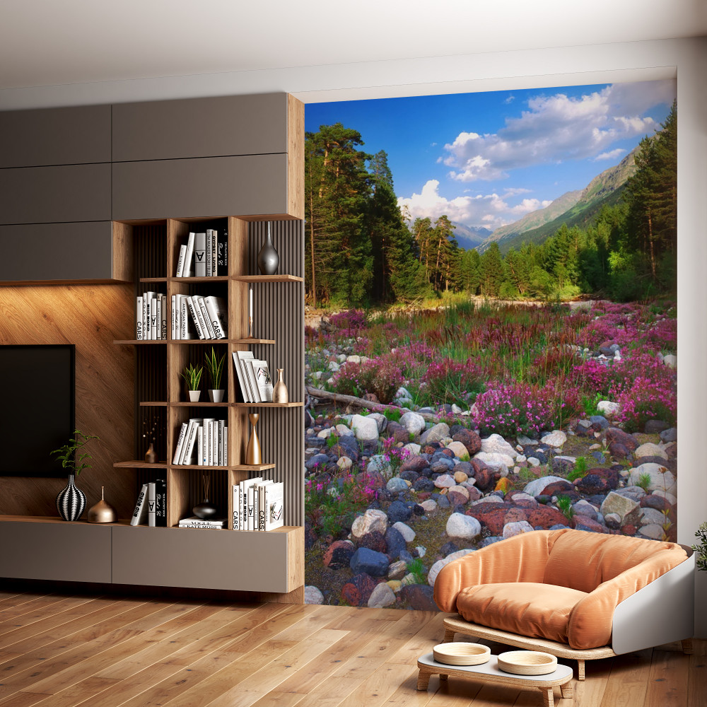 Fototapeta kolorowe kamienie i las zielonych sosen