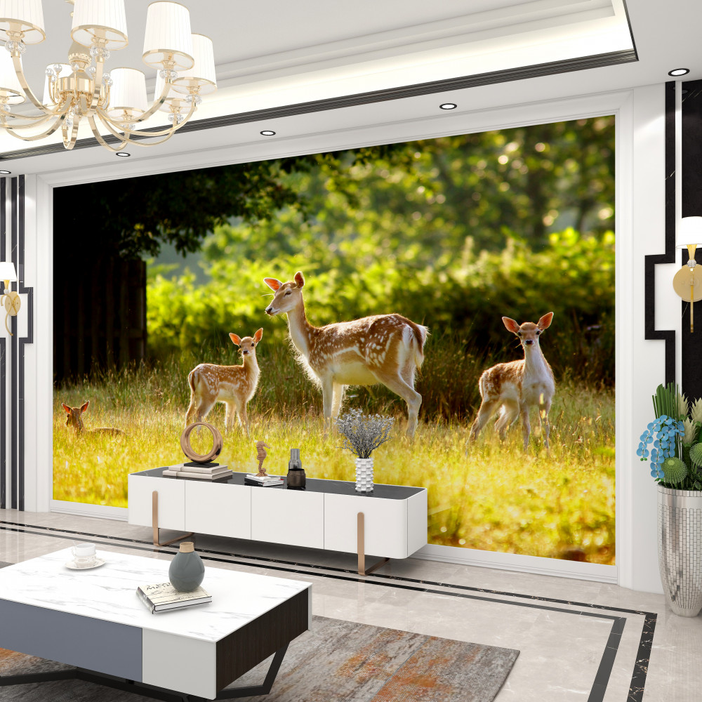 Fototapeta stado jeleni sika spacerujących po łące