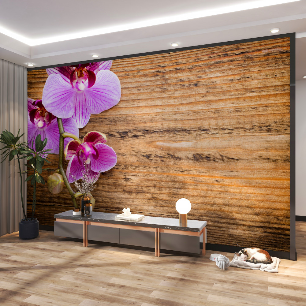 Fototapeta liliowe orchidee na drzewie