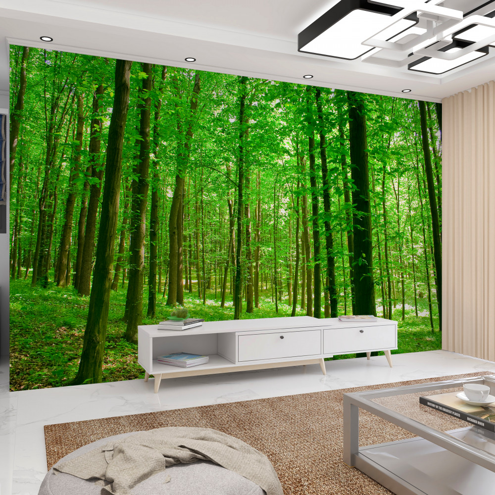 Fototapeta smukły letni las liściasty