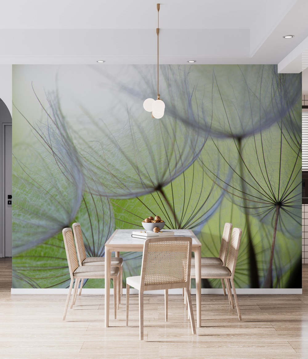 Fototapeta jesienią zakwitły mlecze