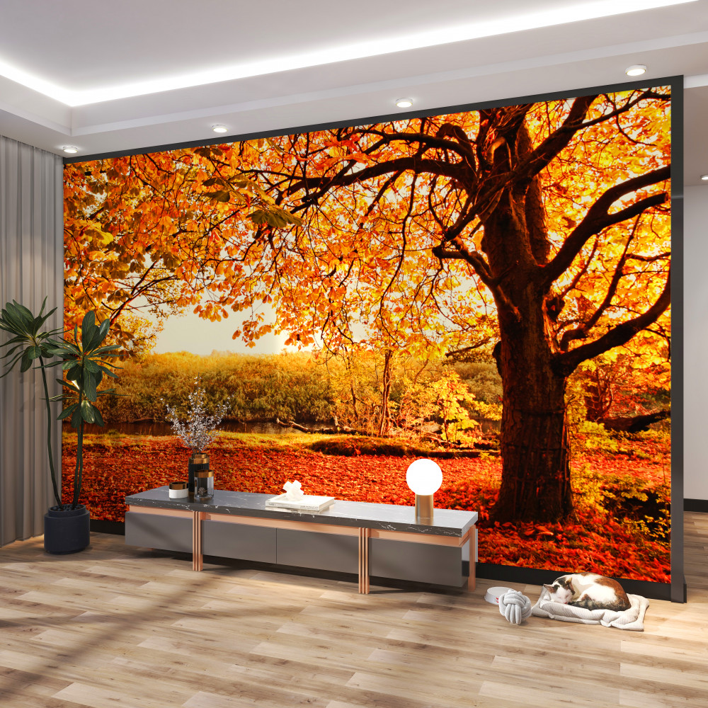 Fototapeta jasne piękno słonecznej jesieni w lesie