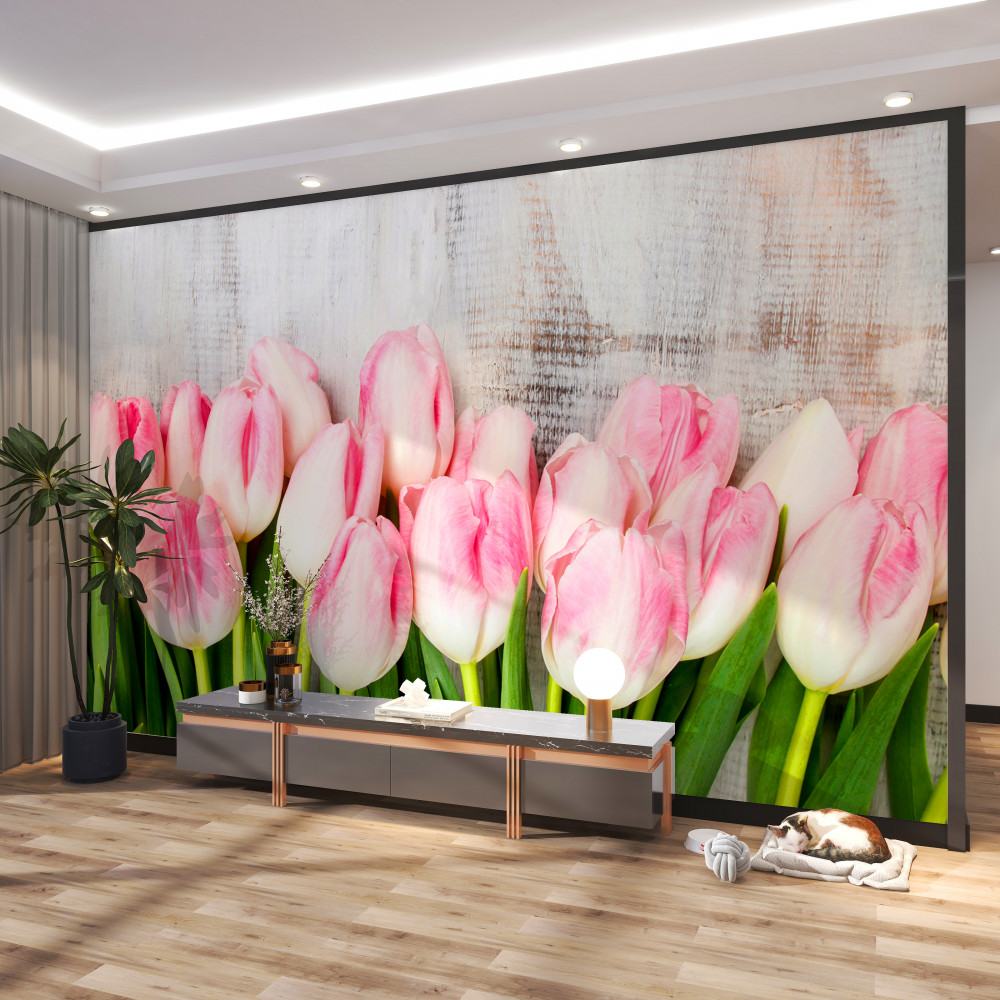 Fototapeta bukiet delikatnych różowych tulipanów