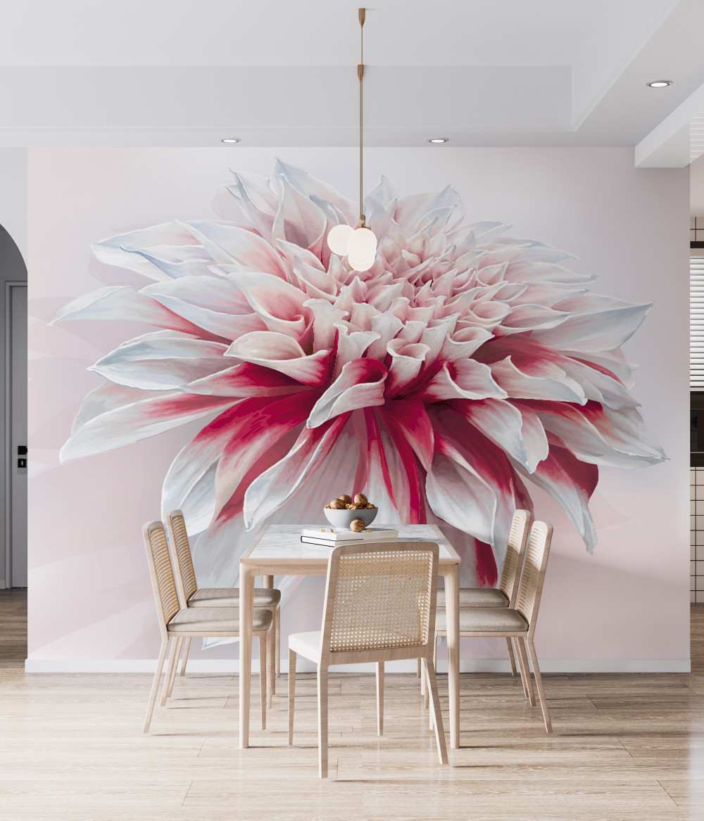 Fototapeta wspaniały pączek czerwonych i białych astry