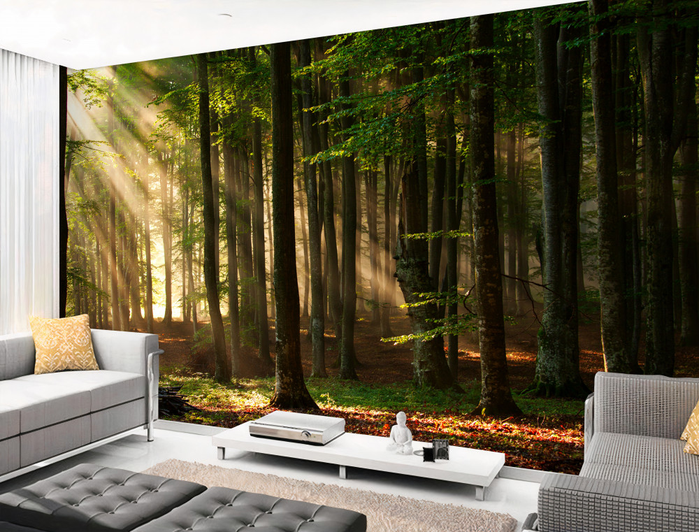 Fototapeta promienie słońca ogrzewają zimny las po nocy