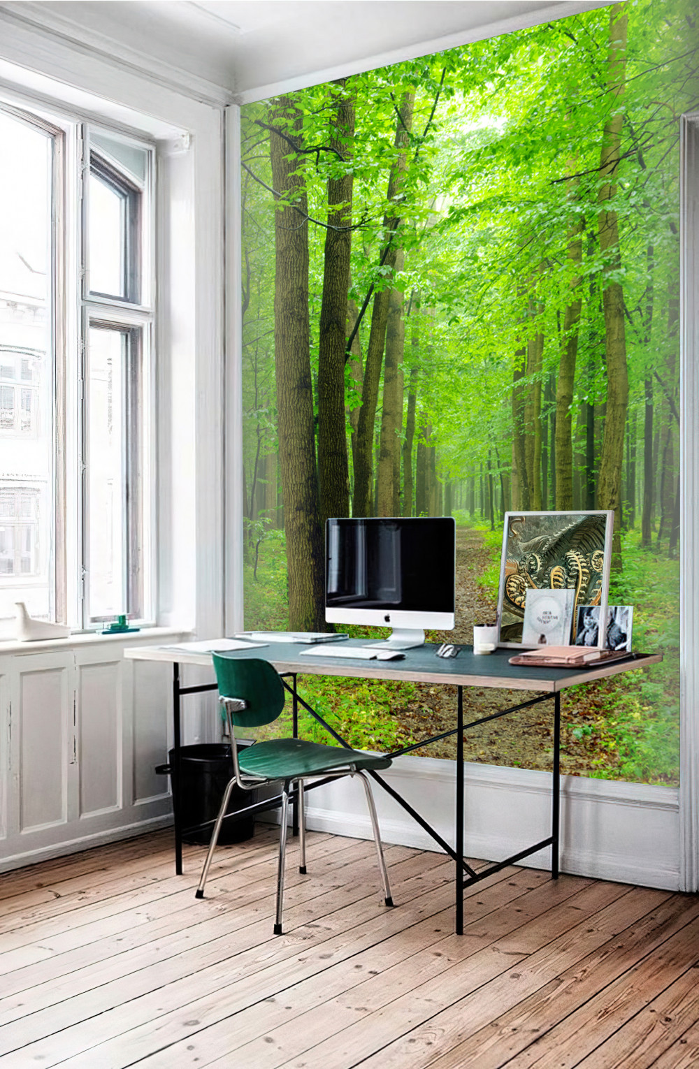 Fototapeta wygodna ścieżka przez smukły las liściasty