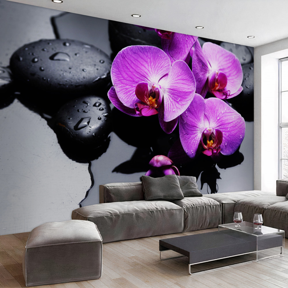 Fototapeta fioletowe orchidee na wodzie w pobliżu kamieni