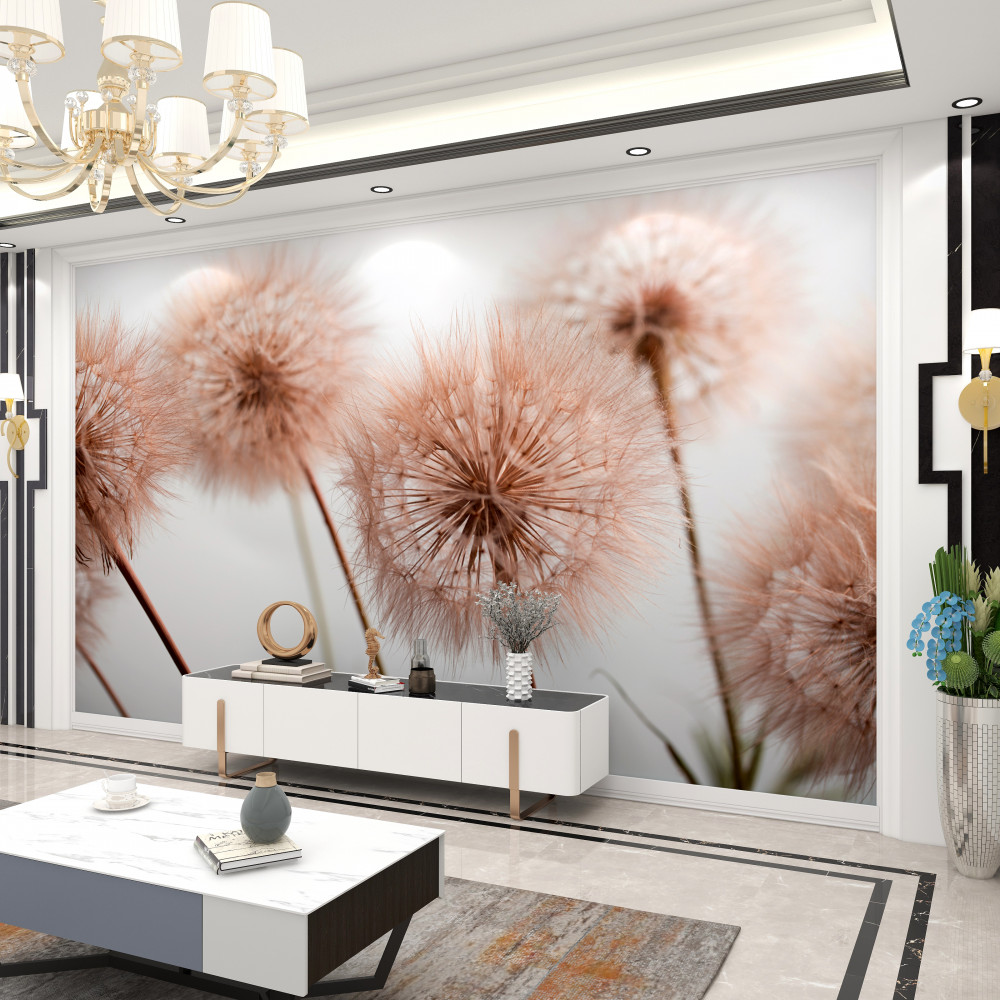 Fototapeta lekkie puszyste mlecze