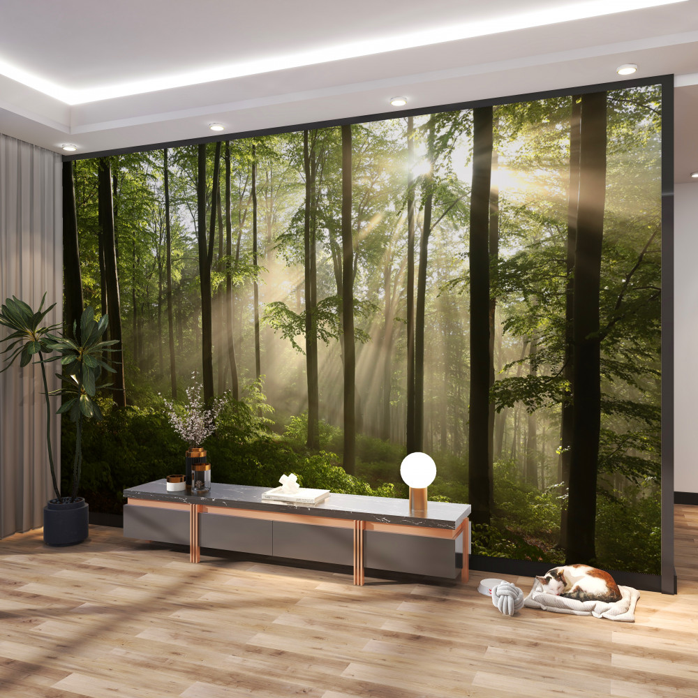 Fototapeta promienie słońca przebijają się przez leśną mgłę