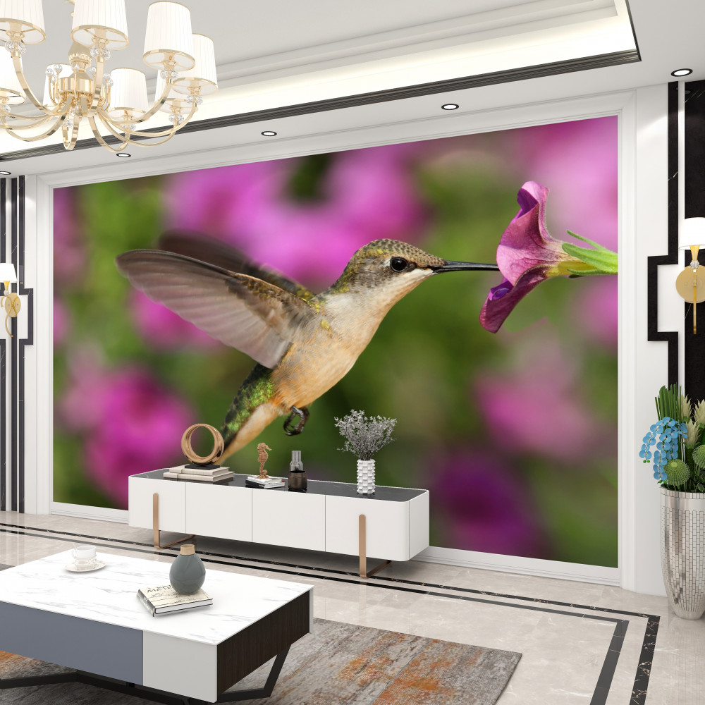 Fototapeta koliber pije nektar