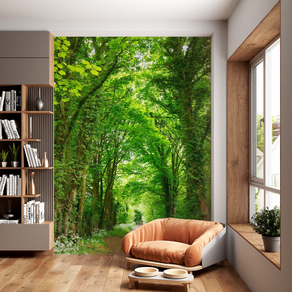 Fototapeta łuki zielonych drzew nad drogą