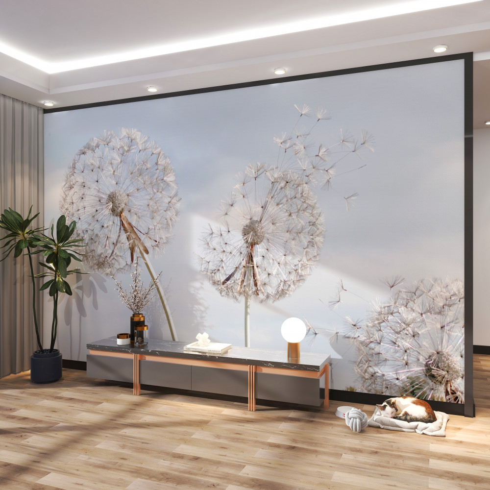 Fototapeta mniszek lekarski wieje na wietrze