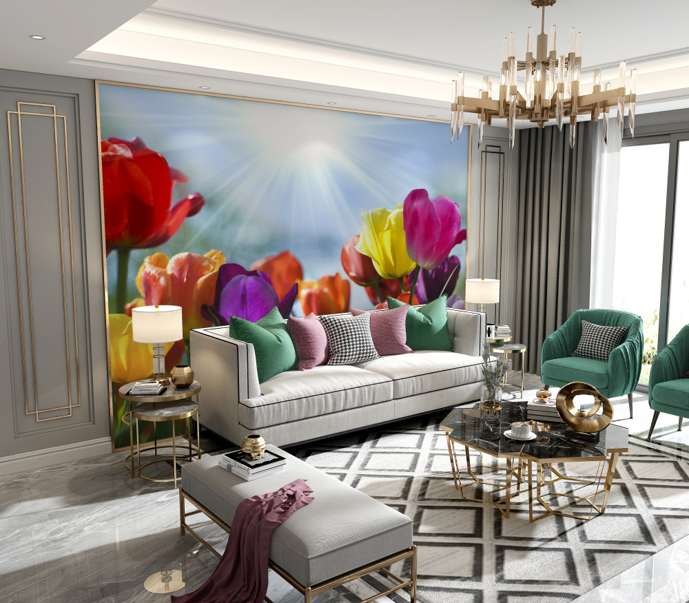 Fototapeta kolorowe tulipany w słoneczny dzień