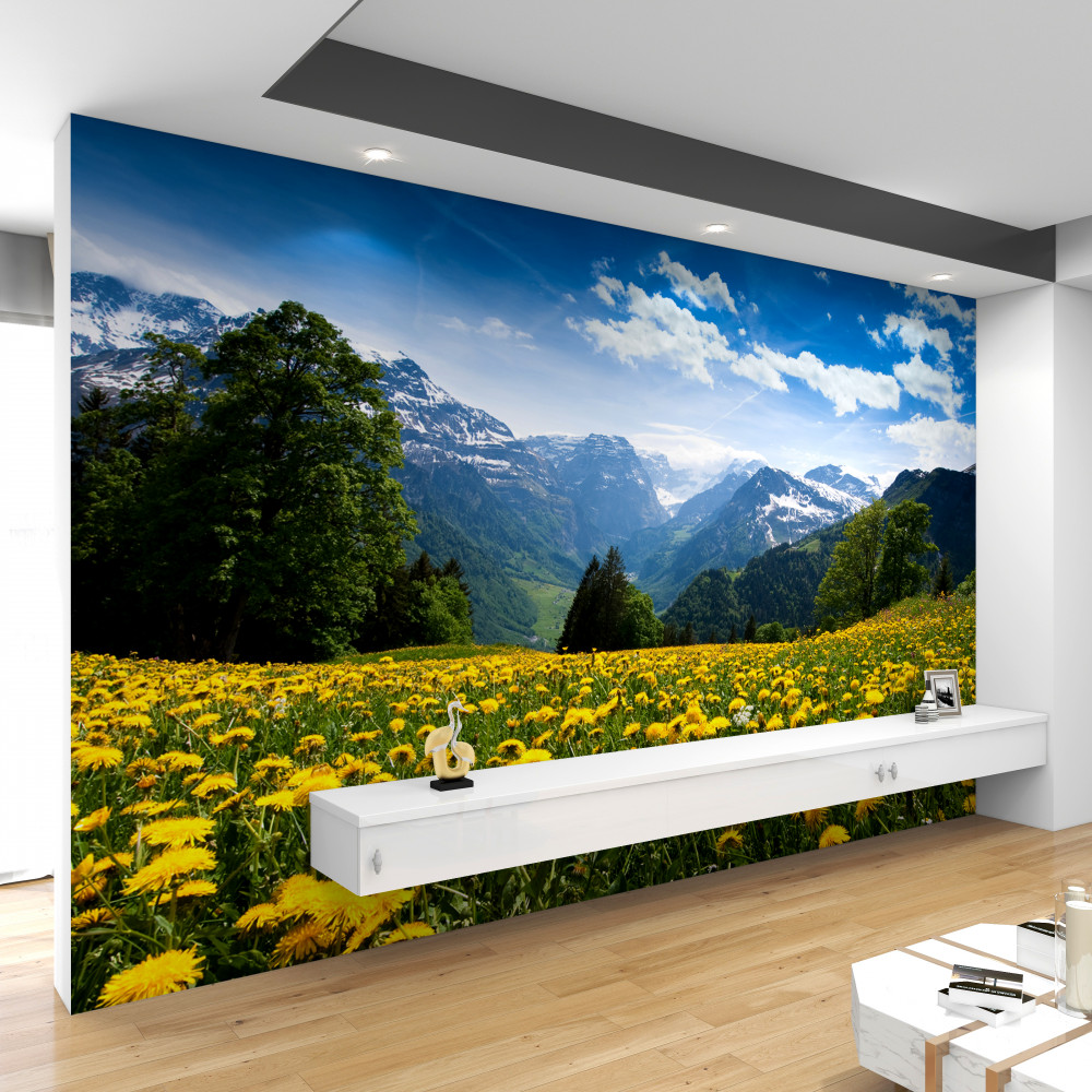 Fototapeta pole żółtych mleczy z widokiem na góry