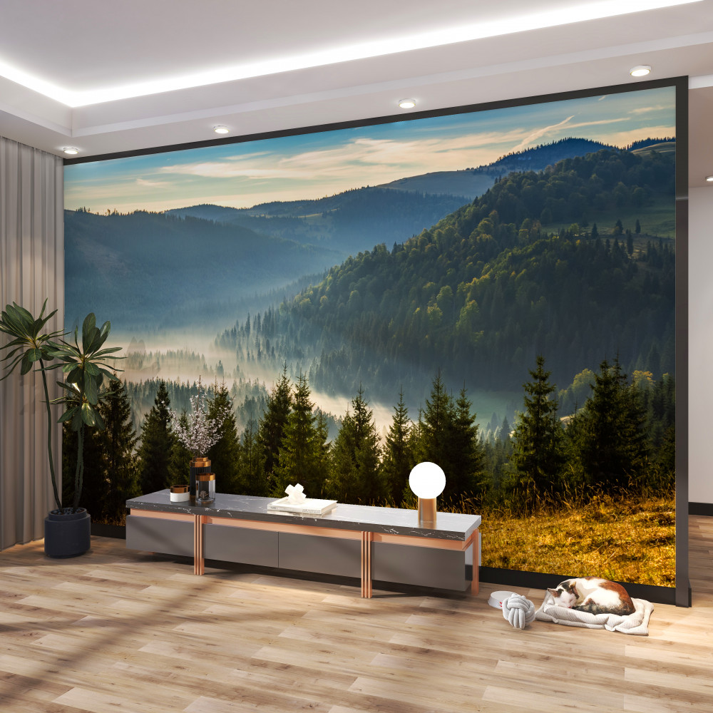 Fototapeta mgła opada na gęsty jesienny las