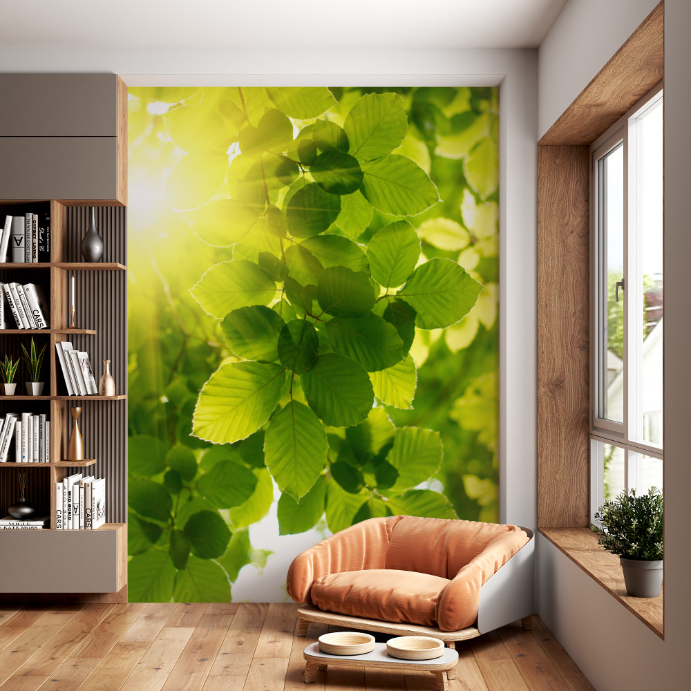 Fototapeta zielone liście witają poranne słońce