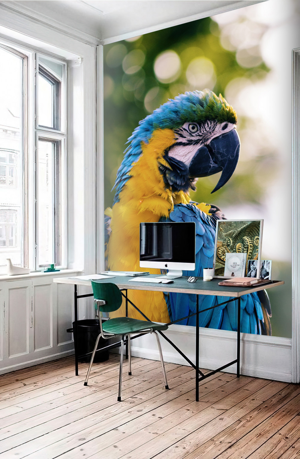 Fototapeta portret pięknej papugi