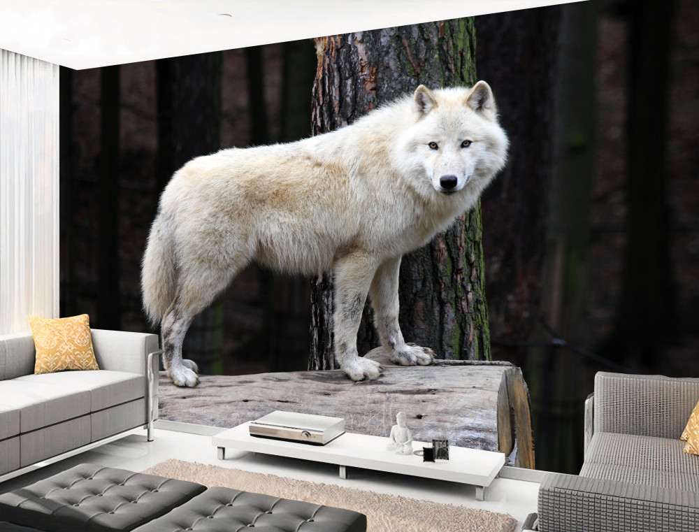 Fototapeta szary wilk na kłodzie