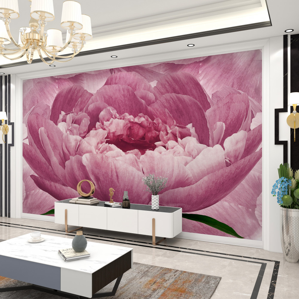 Fototapeta duży różowy pączek asteru