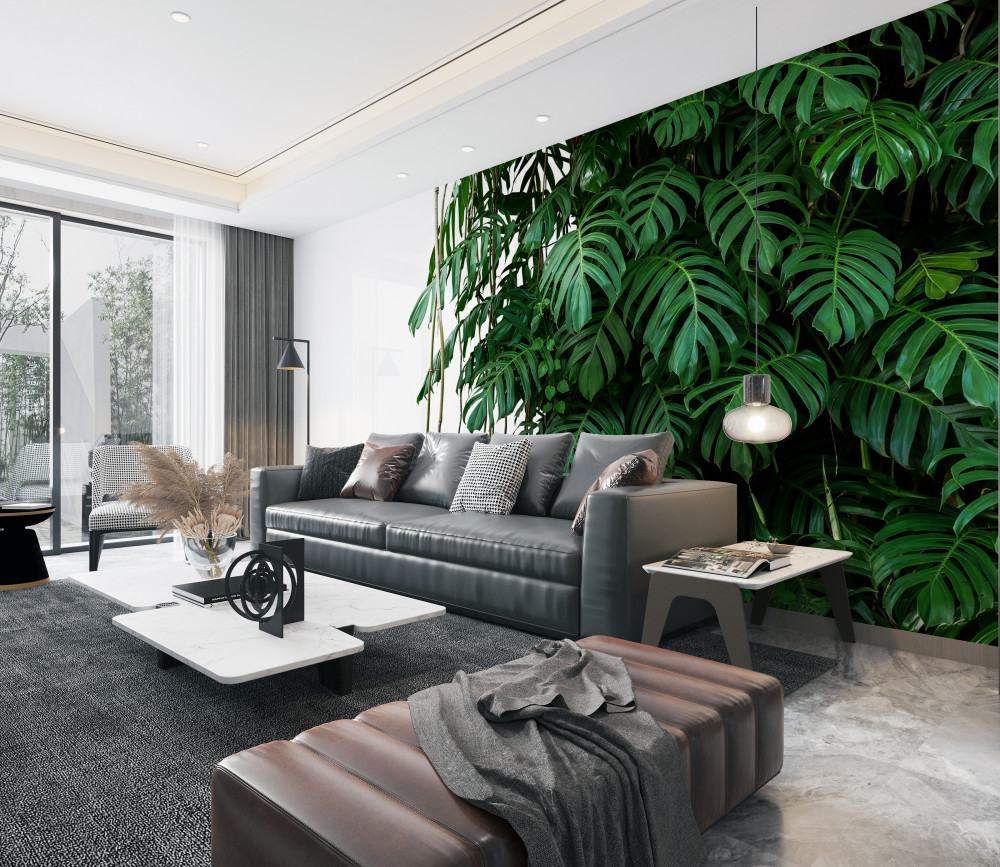 Fototapeta gęste liście zielonej monstery