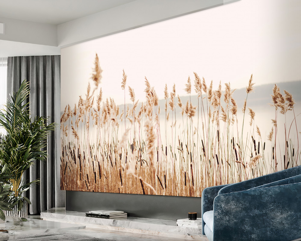 Fototapeta jesienne trzciny we mgle