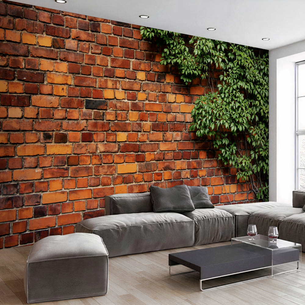 Fototapeta zielony bluszcz pokrywa ścianę