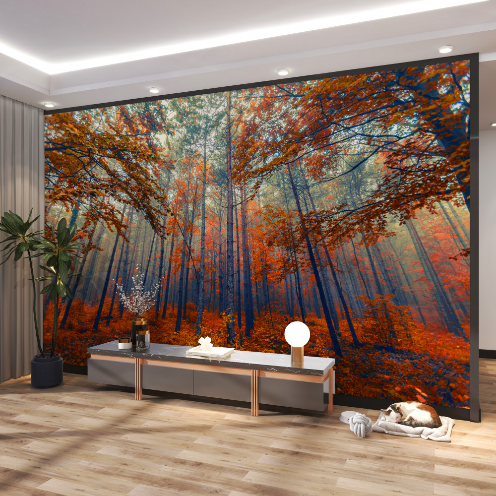 Fototapeta opadłe liście jesiennego lasu