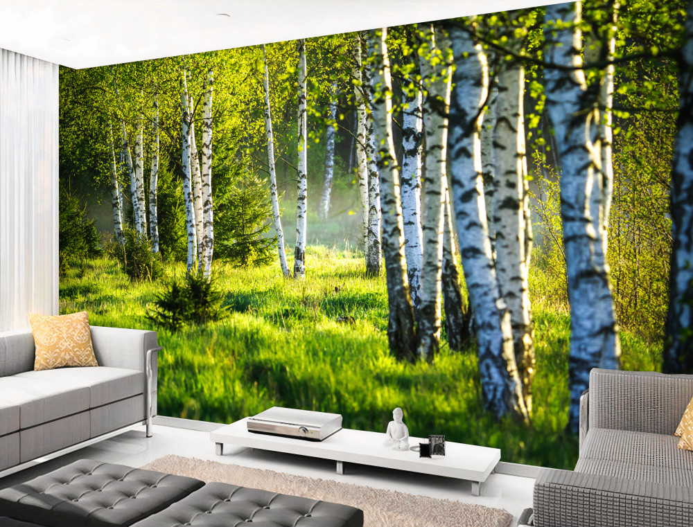 Fototapeta zielone łąki z smukłymi brzozami