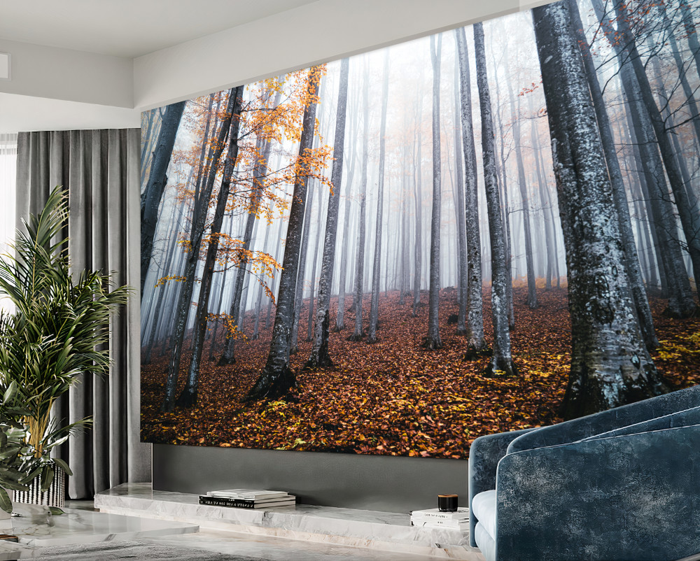 Fototapeta mgła w smukłym jesiennym lesie