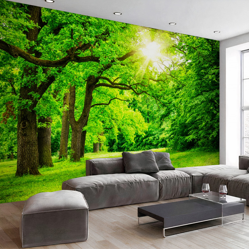 Fototapeta jasny letni krajobraz lasu