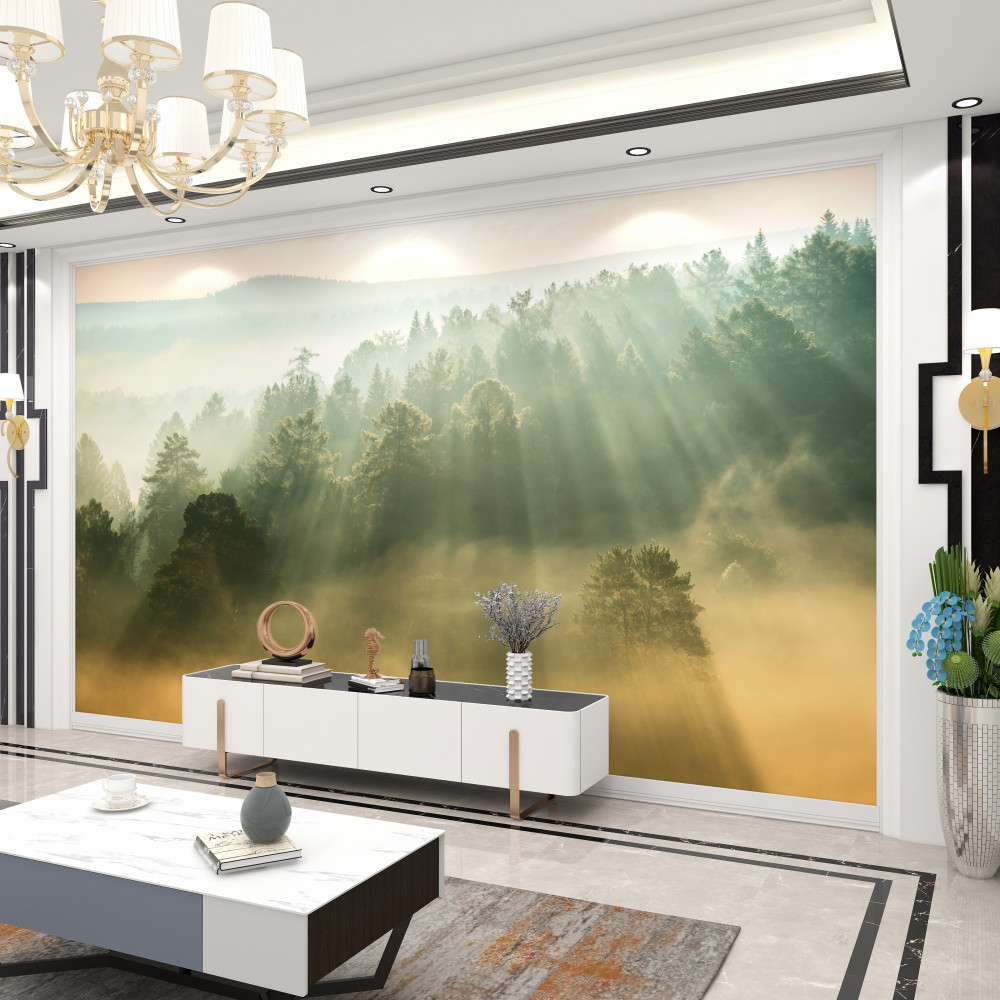 Fototapeta słońce rozprasza gęstą leśną mgłę