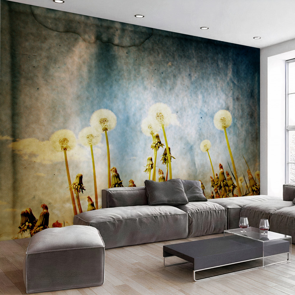 Fototapeta smukłe mlecze spotykają zachód słońca