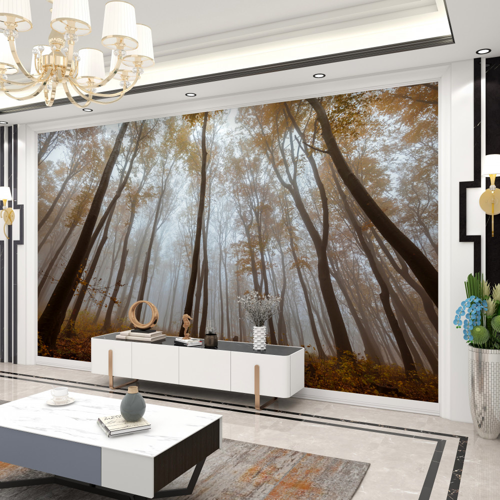 Fototapeta wysokie, smukłe jesienne drzewa