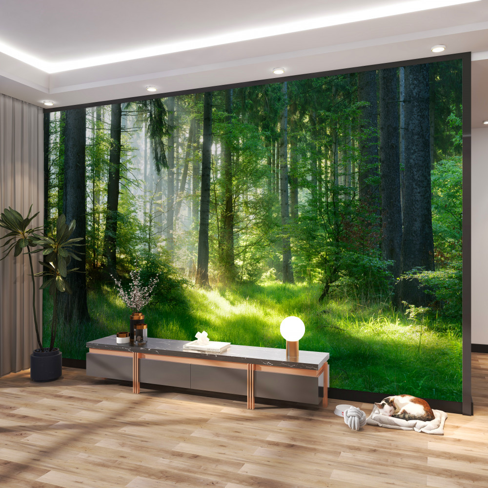 Fototapeta leśny poranek wśród zieleni